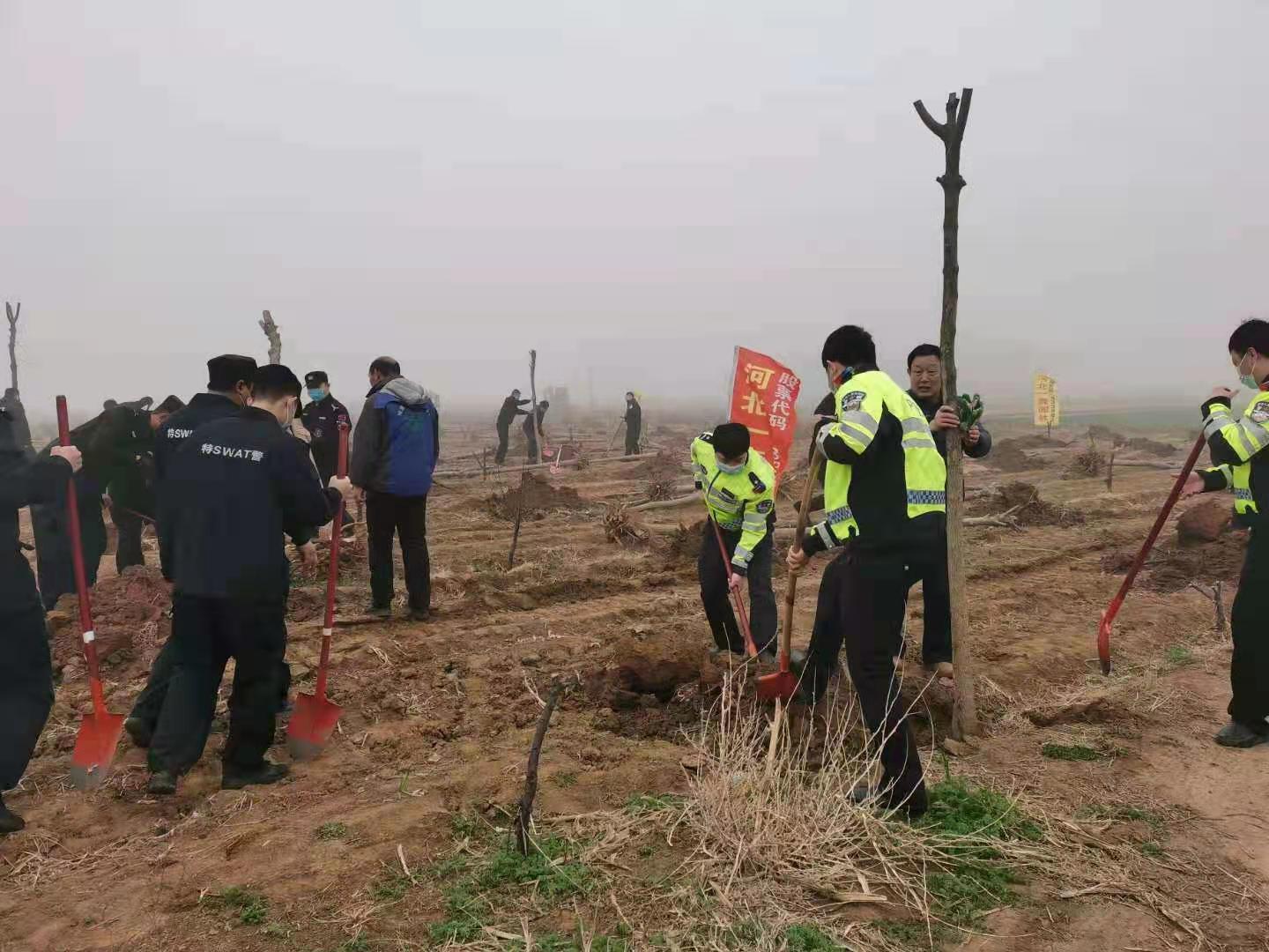 一森公司配合贊皇縣有關(guān)單位開展義務(wù)植樹活動(dòng)