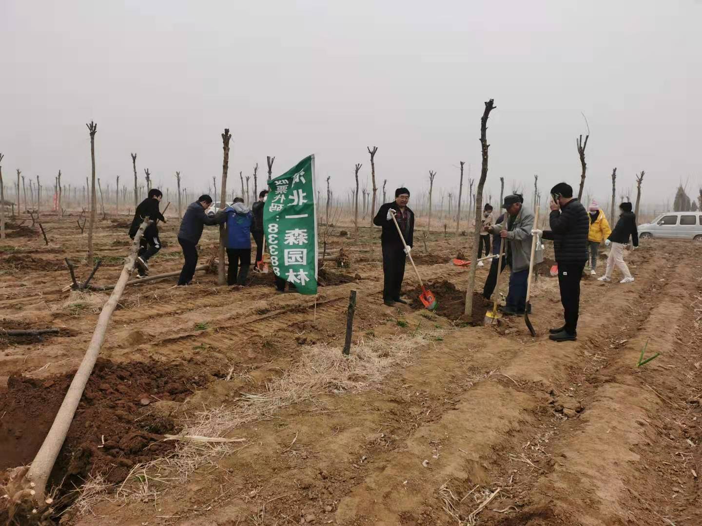 一森公司配合贊皇縣有關(guān)單位開展義務(wù)植樹活動(dòng)